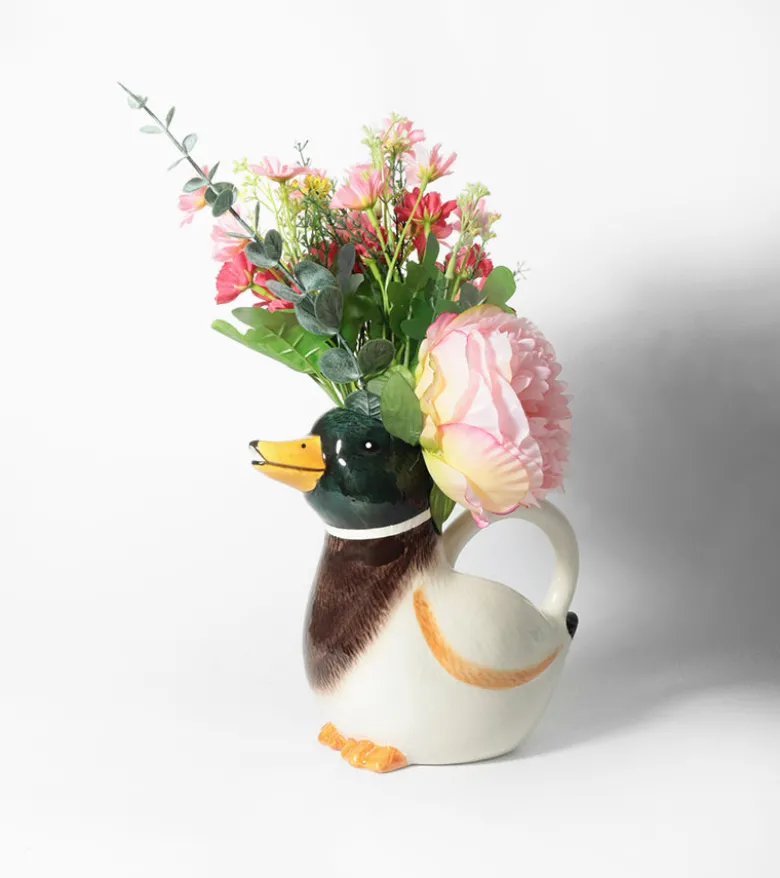 Arrosoir canard colvert