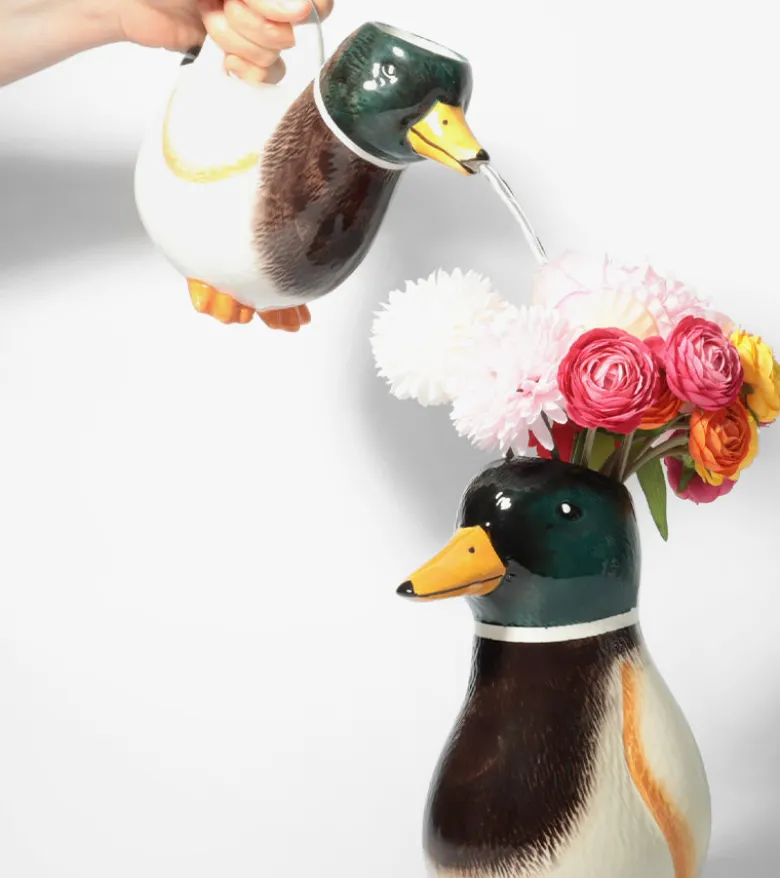 Arrosoir canard colvert