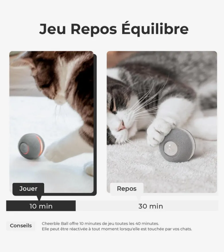 Balle interactive pour chats