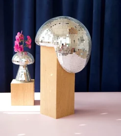 Boule disco fondue