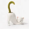 Cache-pot Chat Yoga