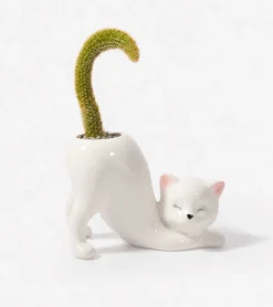 Cache-pot Chat Yoga