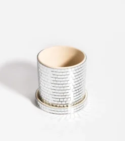 Cache-pot disco