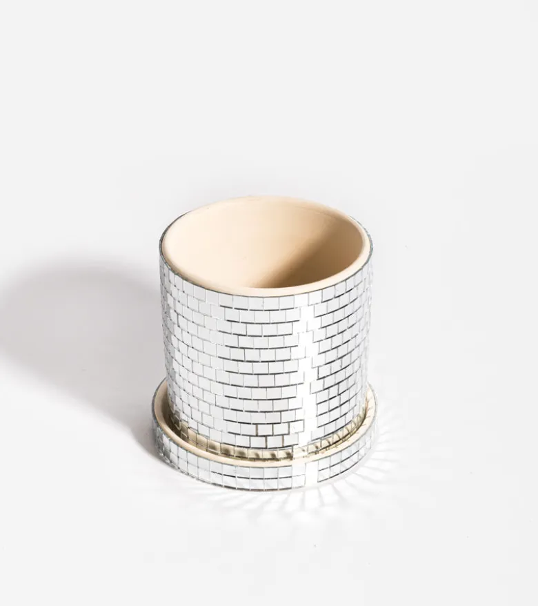 Cache-pot disco