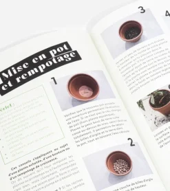 Comment ne pas faire crever ses plantes