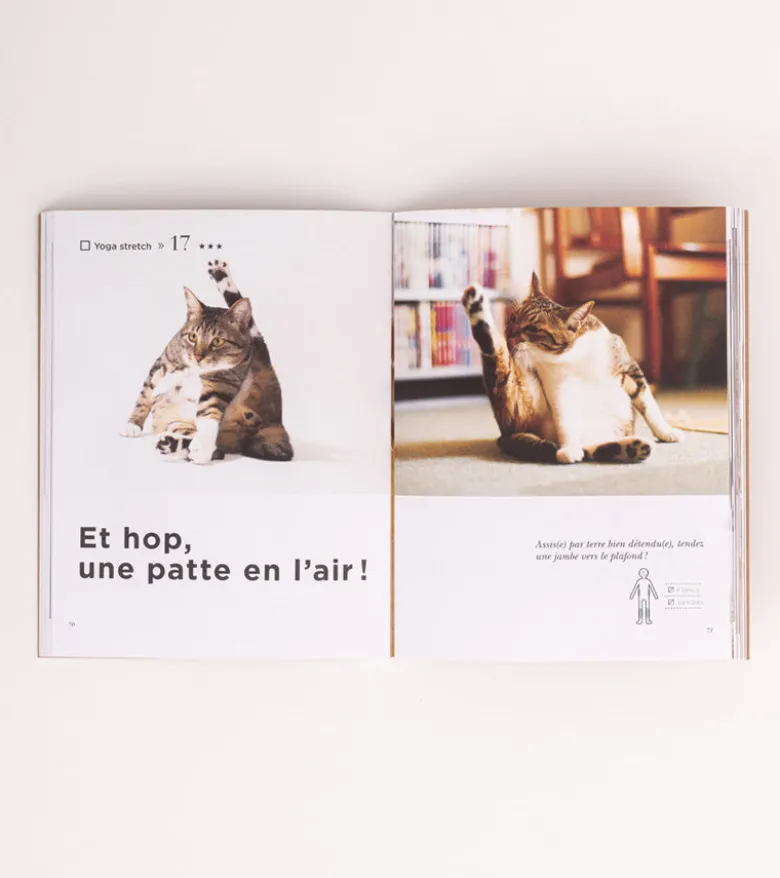 Le Yoga du Chat