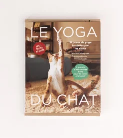 Le Yoga du Chat