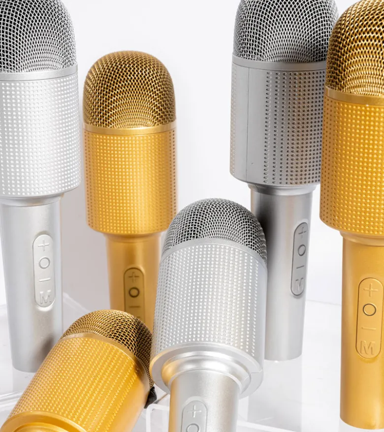 Micro enceinte Karaoké