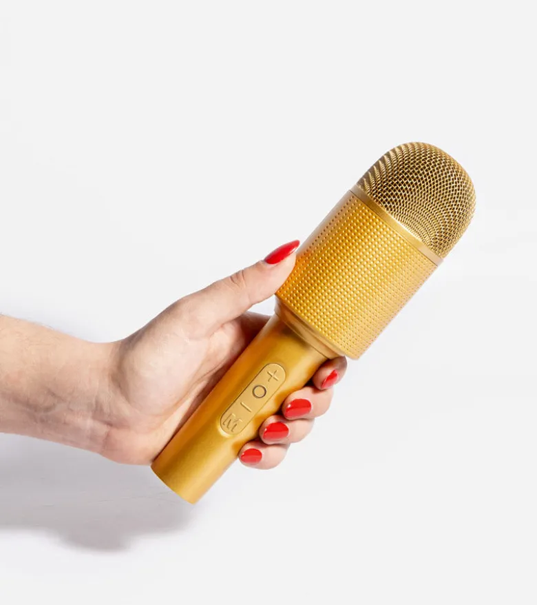 Micro enceinte Karaoké
