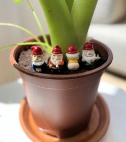 Mini gnomes de jardin effrontés
