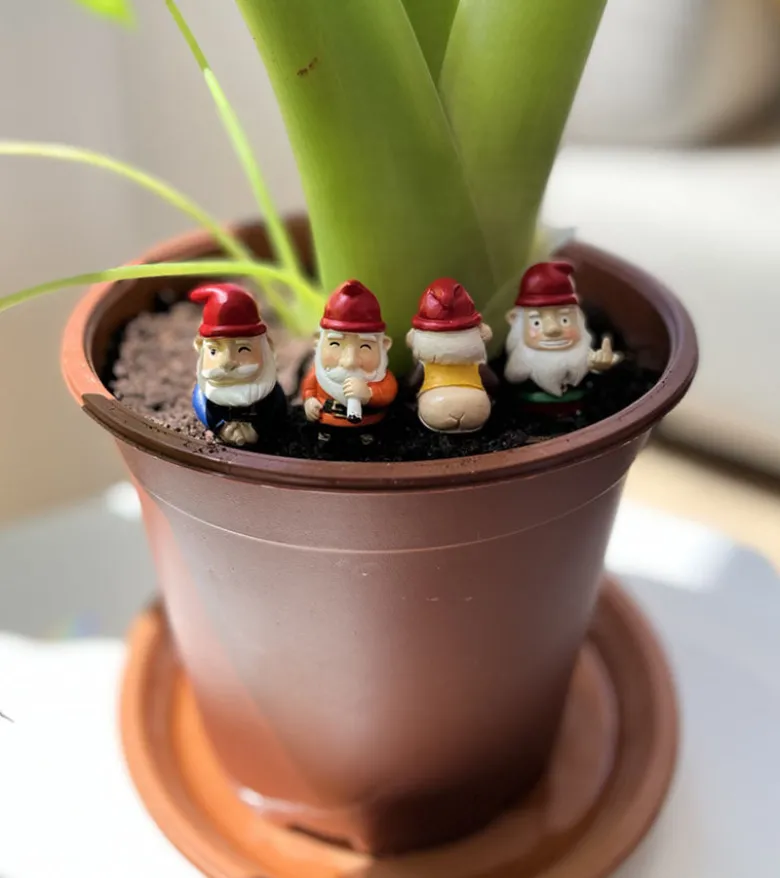 Mini gnomes de jardin effrontés