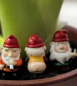 Mini gnomes de jardin effrontés