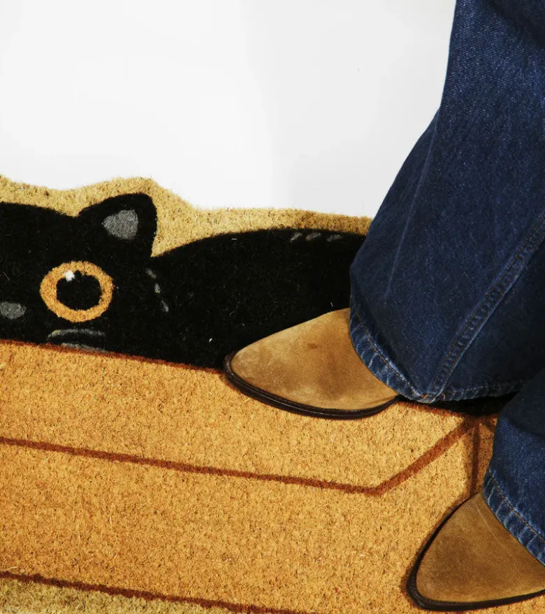 Paillasson Chat caché