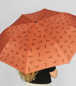Parapluie Teckel