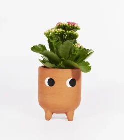 Petit cache-pot en terre cuite