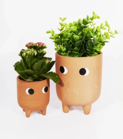 Petit cache-pot en terre cuite