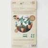 Plantes en papier DIY