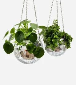 Pot de plantes disco boule à facettes