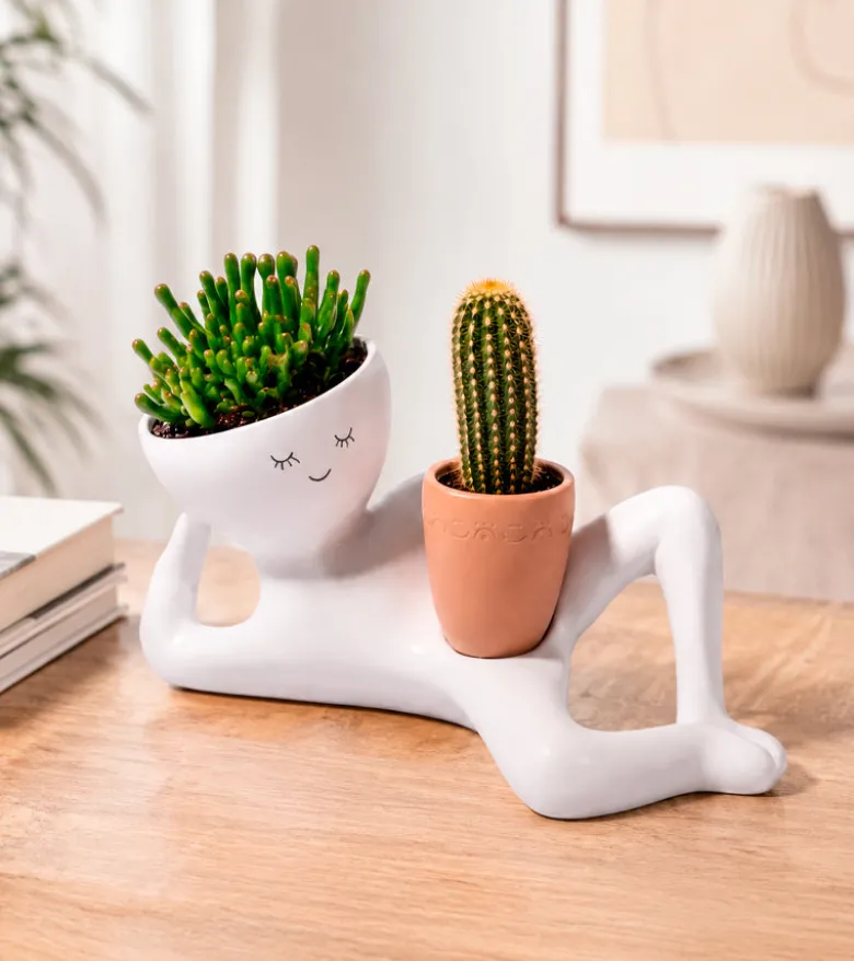 Pot à plante bonhomme paresseux
