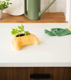 Pot à plante croissant