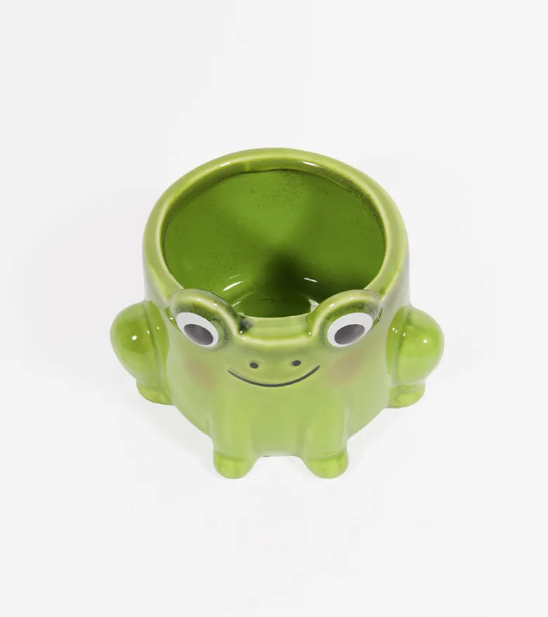 Pot à plante grenouille