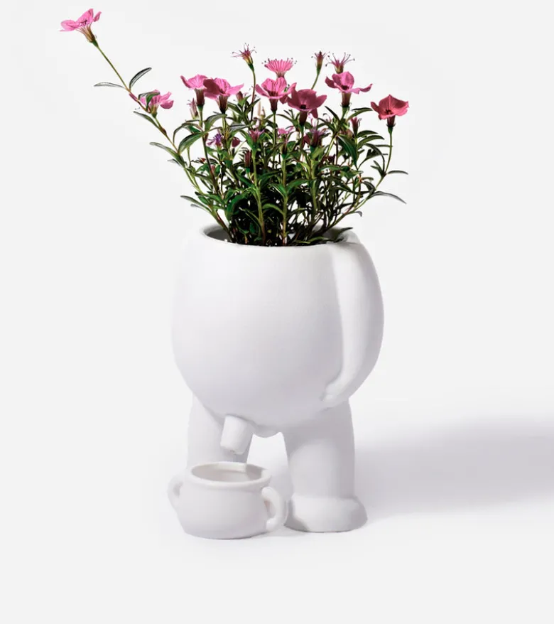 Pot à plante qui fait pipi