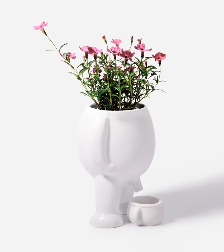 Pot à plante qui fait pipi