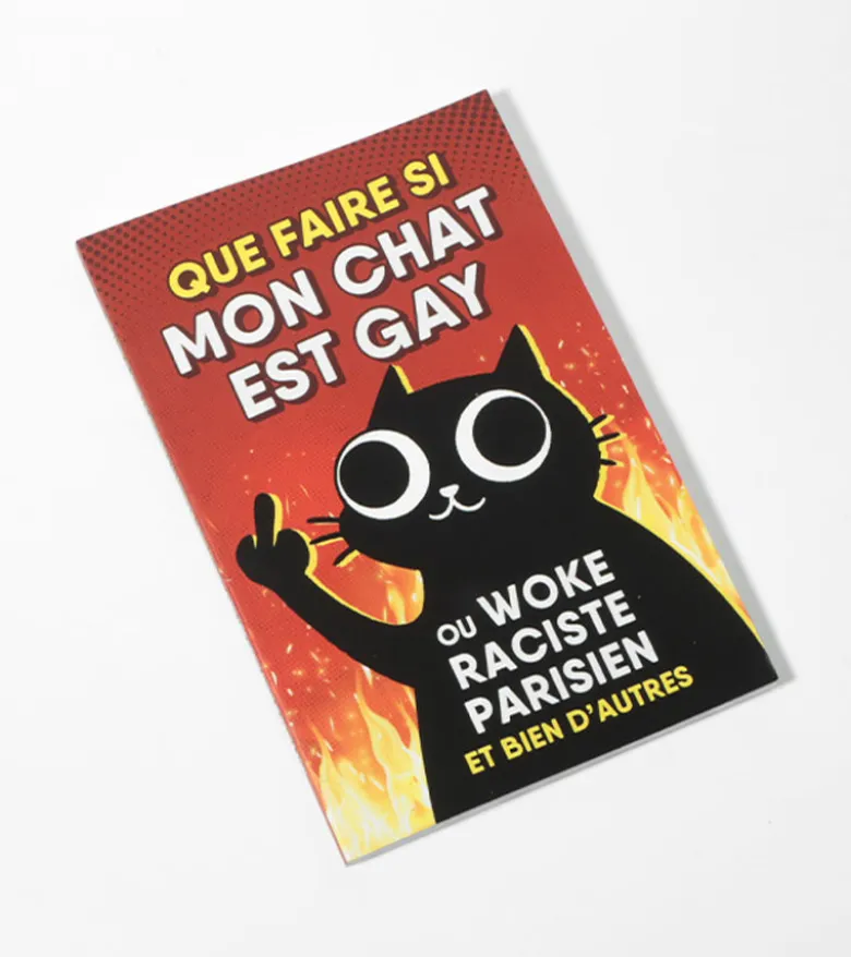 Que faire si mon chat est gay