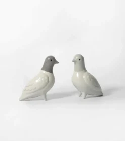 Salière et poivrière pigeons