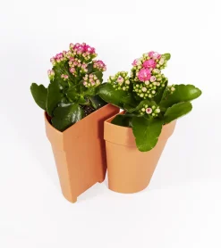 Serre-livres 2 en 1 / Pot à plantes
