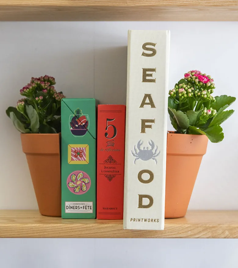 Serre-livres 2 en 1 / Pot à plantes
