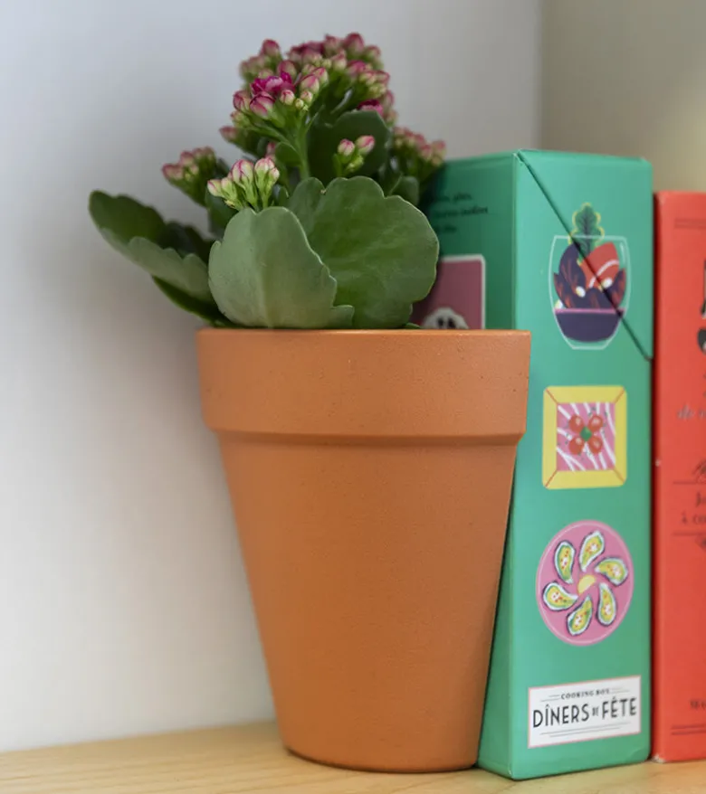 Serre-livres 2 en 1 / Pot à plantes
