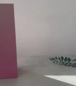 Set de deux verres - La vie en rosé