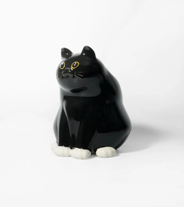 Vase chat dodu