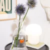 Vase poisson rouge