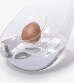 Vase pour noyau d'avocat