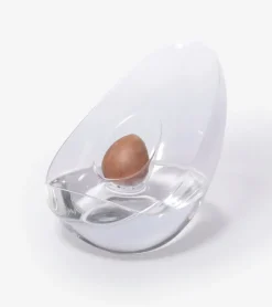 Vase pour noyau d'avocat