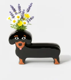 Vase teckel