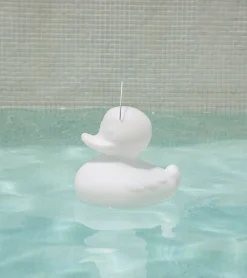 Veilleuse canard flottante