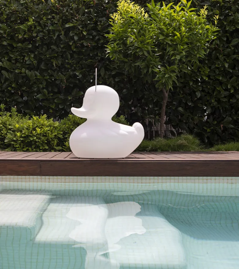 Veilleuse canard flottante